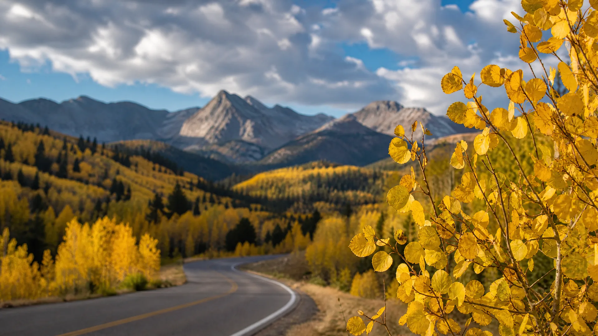 A curving two-lane paved road with a yellow center line passes through hillsides of yellow and green trees, with rocky peaks and a cloudy blue sky beyond and a branch of yellow aspen leaves in sharp focus at right.