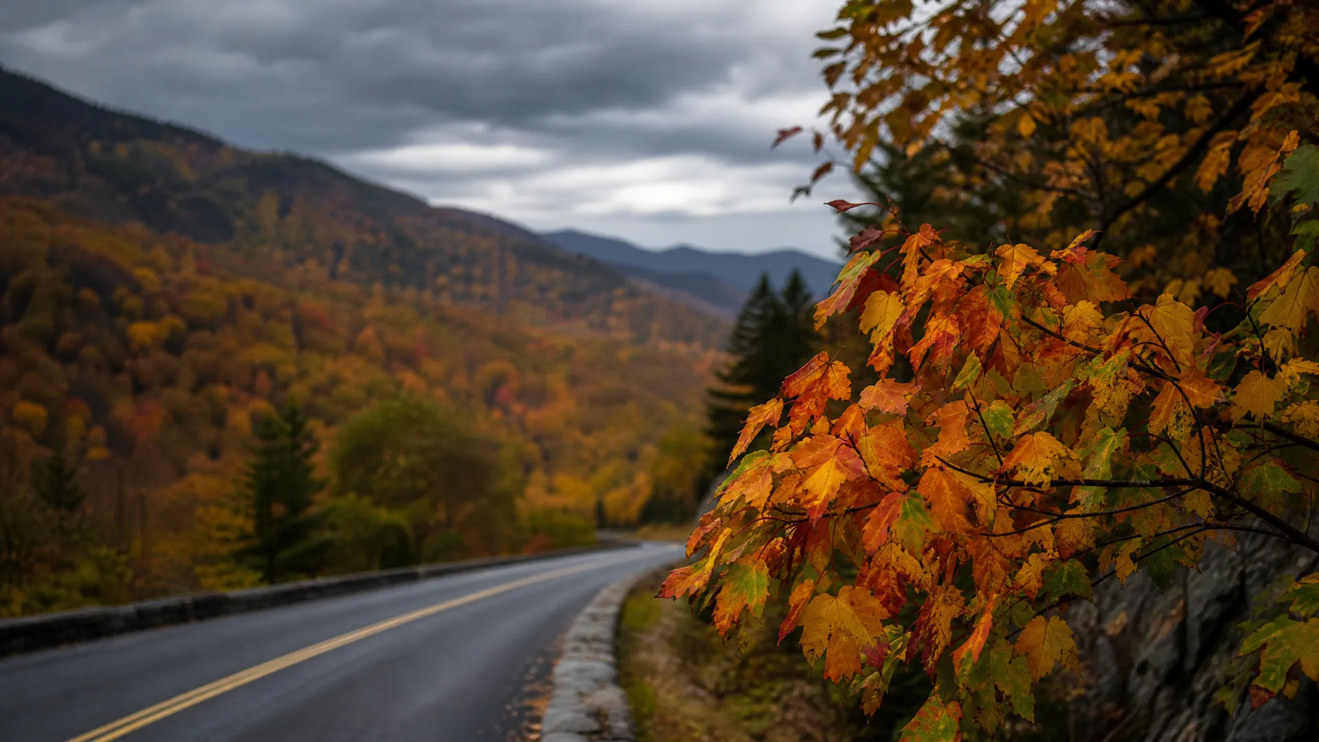 A curving two-lane road with yellow center lines runs through forested hills under an overcast sky, with orange and red maple leaves in sharp focus in the right foreground above a stone retaining wall.