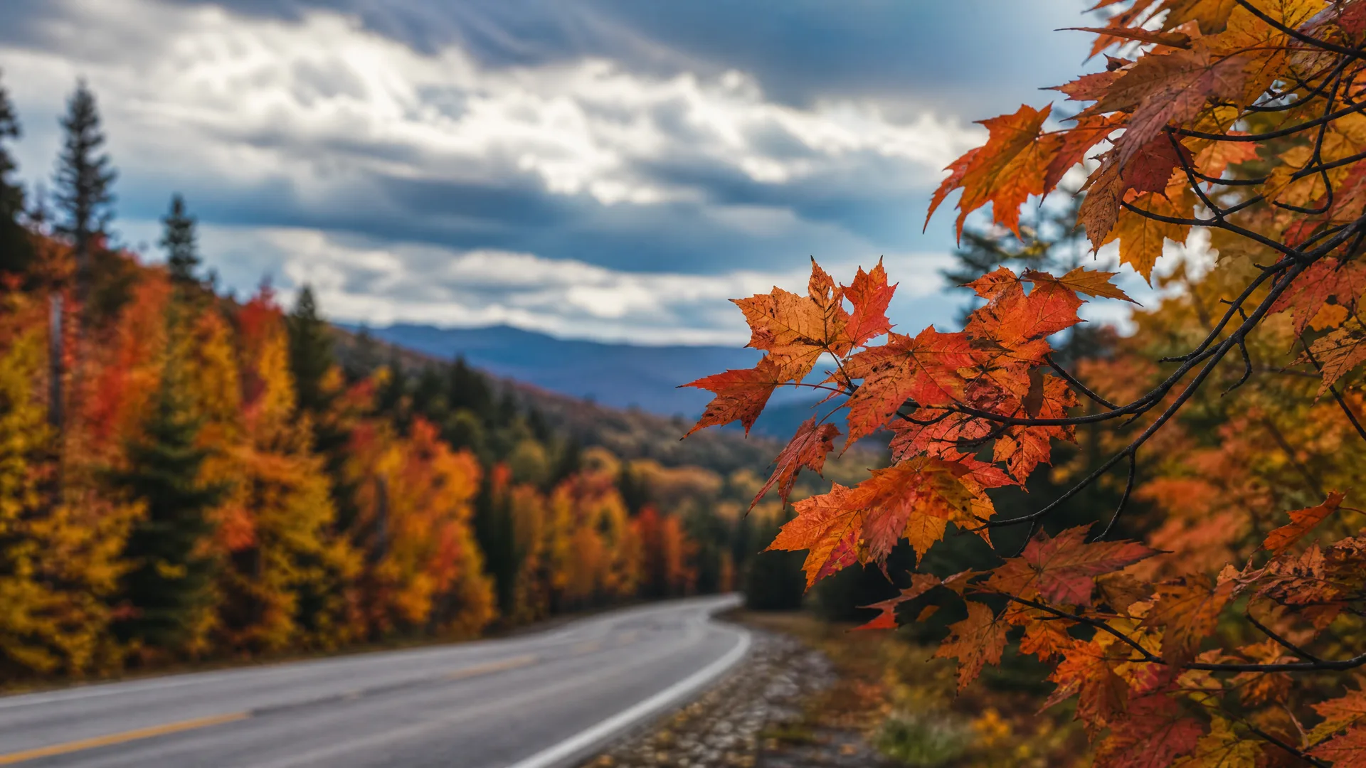 A curving two-lane road with a yellow center line runs through hillside forest in autumn color, with orange maple leaves in sharp focus in the foreground and distant mountains under a cloudy sky.