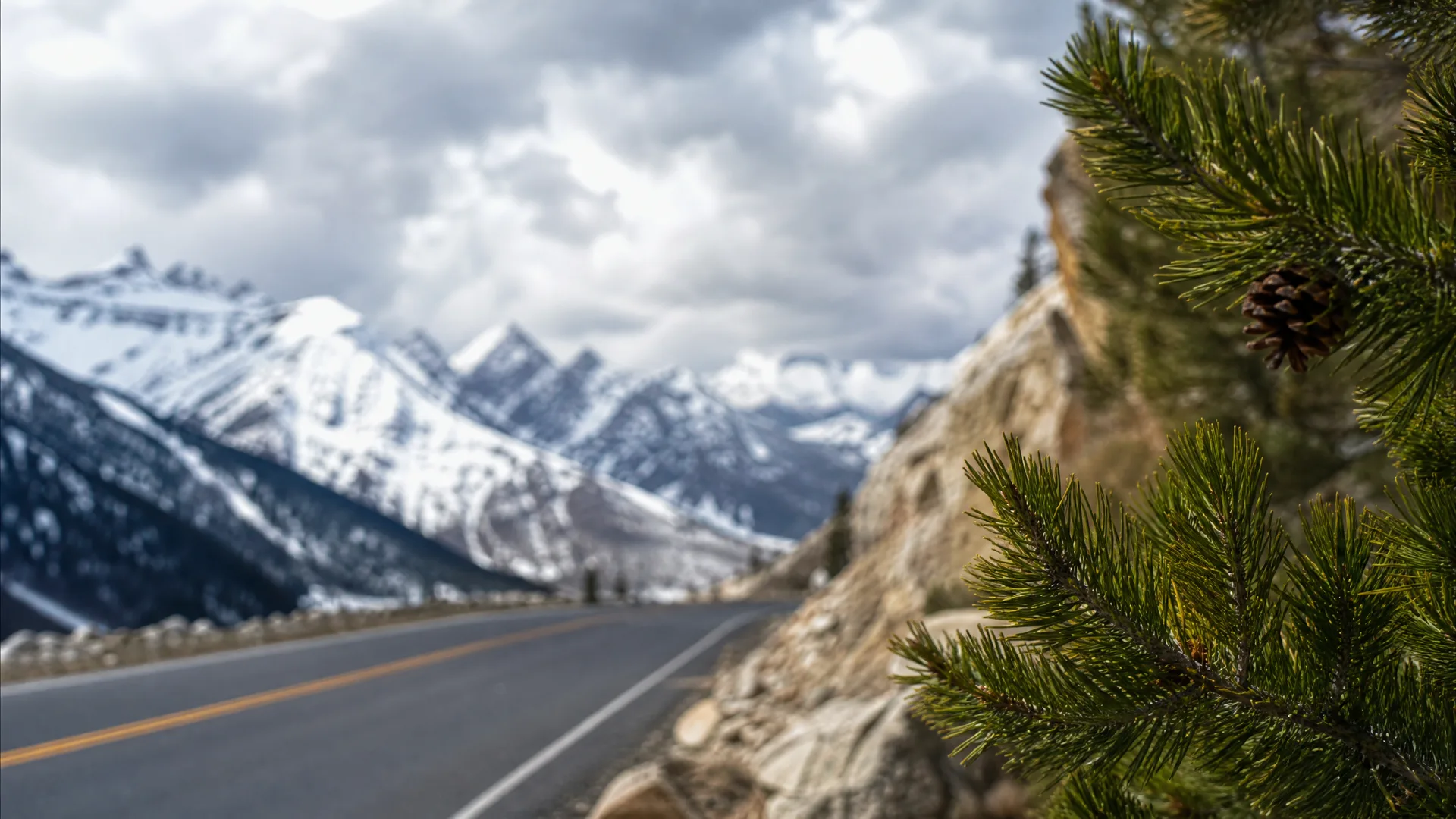 A two-lane paved road with yellow center lines curves past a rocky cliff toward snow-covered mountains under a cloudy sky, with a pine branch bearing a cone in sharp focus at the right foreground.